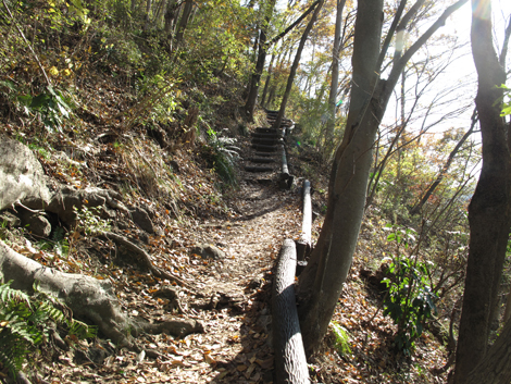 20151209hike (16)
